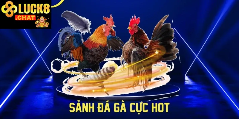 Đá gà Luck8 giải trí truyền thống đỉnh cao lợi ích cao 2025